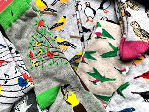 Blue Jay Bird Socks for Women Gift for Bird Lovers4
