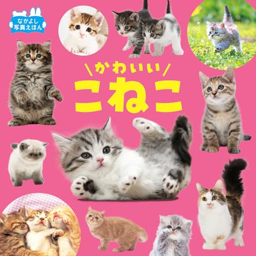 かわいいこねこ (なかよし写真えほん)