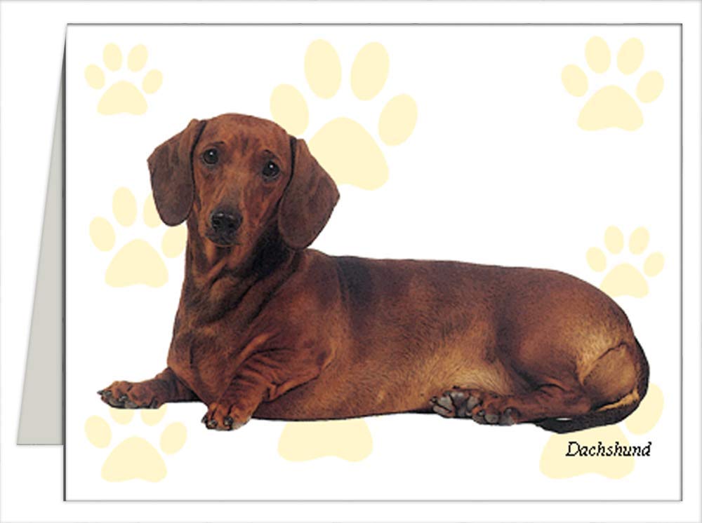 Dachshund Note Cards Handmade Products