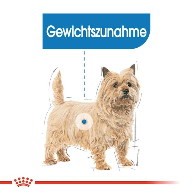 Royal Royal Canine Adult Light Weight Care Mini 1 kg 1000 g, Black, 1 kg (Pack of 1) - Image 4