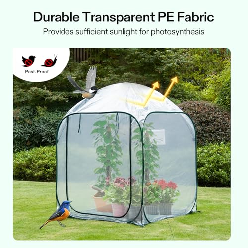 Image of VIVOSUN 49x49x63-Inch Portable Walk-in Greenhouse, with PVC Cover & Detachable Base, Instant Pop-up and Folding, Mini Greenhouse with Roll-Up Door & Mesh Window for Indoor Outdoor, Wind Ropes Included