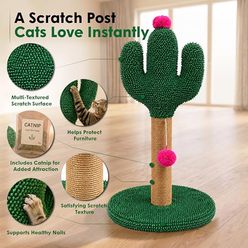 Rascador para Gatos ASPCA Cactus con Juguete Colgante miniatura 5