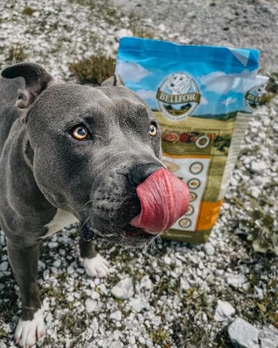 Bellfor Naturfarm-Schmaus Hypoallergenes Getreidefreies Hundetrockenfutter mit Insekten mit hoher Verdaulichkeit ohne tierische Nebenerzeugnisse 2,5 kg