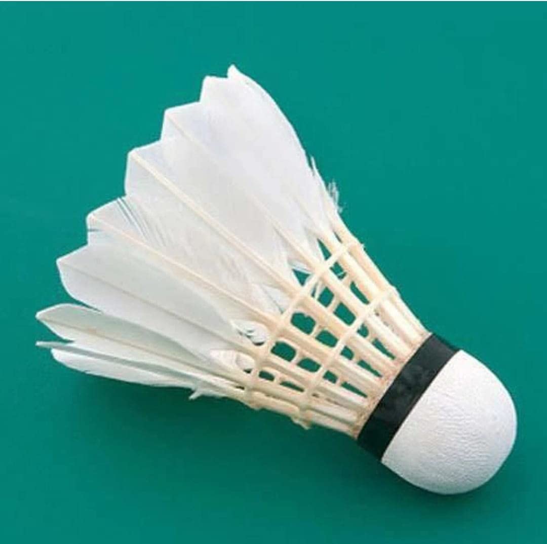 GOLS Hand-Crafted Duck Feather Shuttlecocks for Badminton with Solid Cork Head & Strong Goose Feathers (Pack of 10, White) (B0BFJNV6Q3) Amazon Price History, Amazon Price Tracker