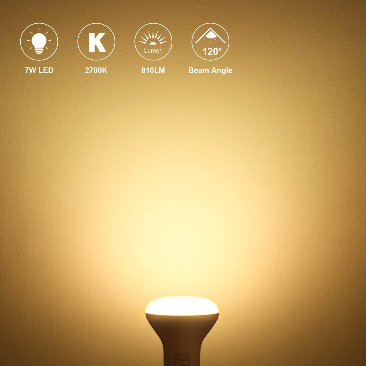 SanGlory 6 Pezzi LED Lampadine Faretti R63 E27 7W Equivalente a Alogena E27 60W, Luce Calda 2700K, 810LM, 120 Gradi di Luce, Lampade Riflettore LED R63 per Plafoniere, Non-dimmerabile (Caldo 2700K)