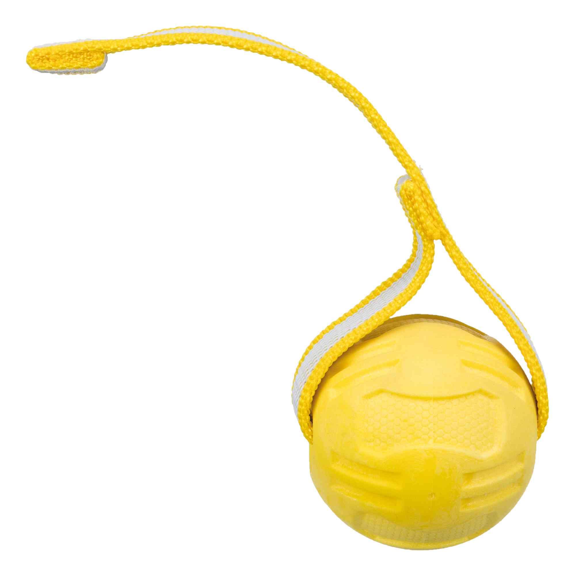 TRIXIE Sporting Ball with Rope, TPR Rubber, Diameter 6 cm, 20 cm