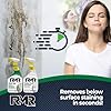 RMR Mold Stain Eraser Max Pack – No-Scrub Tub & Tile Cleaner + Instant Mold & Mildew Stain Remover Spray, Indoor/Outdoor Bathroom, Shower, Siding, & Deck Cleaning Kit, 2–32 Oz Bottles