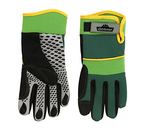 Preisvergleich Produktbild Dehner Gerätehandschuh, Gartenhandschuh Expert Größe 7 / S