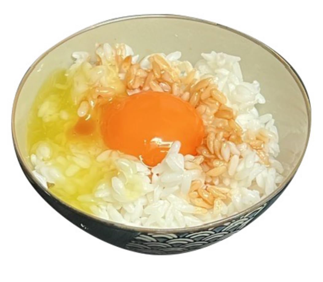 食品サンプル➜卵かけご飯 Amazon.co.jp: 【ながお食研】(食品サンプル) おいしそうな卵がぽんと