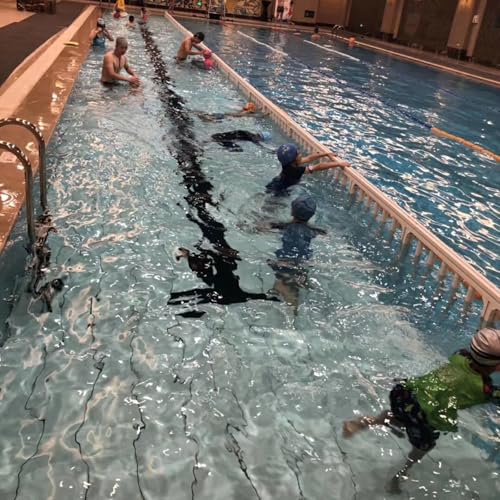 SRNSAEB Detachable Submerged Swimming Pool Separation, Stable Pool Safety Fencing Panel for Divide Large Pools, Deep/Shallow Water Protective Fence Posts Customizable(L 10m/32.8ft)