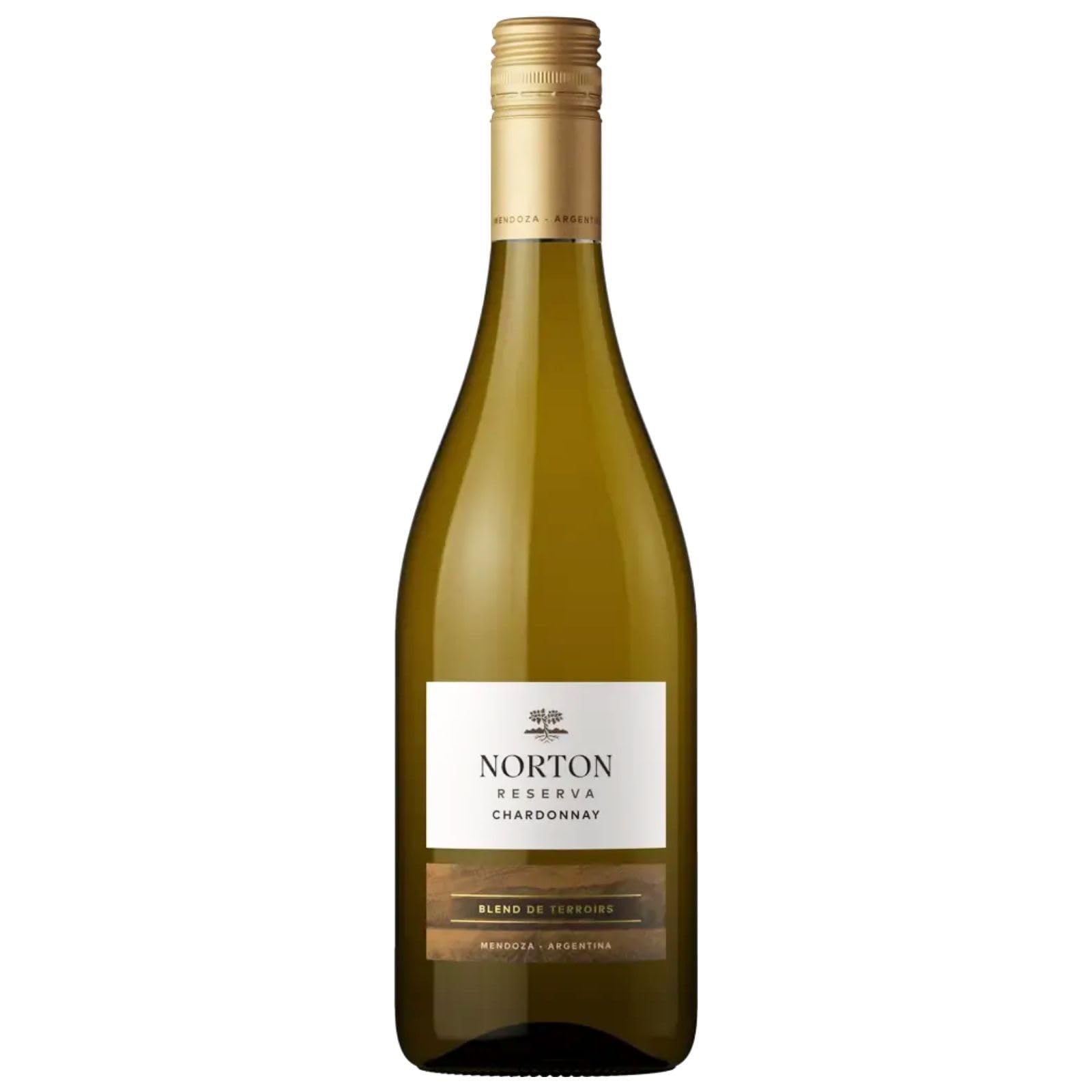 Amazon.co.jp: ボデガ・ノートン シャルドネ・レゼルヴァ [ 白ワイン
