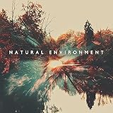  Nature for Self Balancing