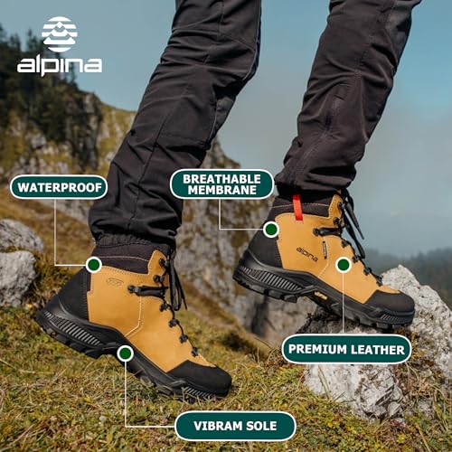 Northside Men's Triad Hiking Boot,Stone/Lava,10 M US