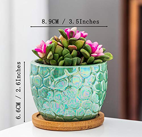Rose Create 3.5 Inches Ceramic Succulent Planters, Colorful Bonsai Pots For Window Desk Home Decor With Bamboo Trays #TOP4