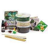 Cute Farms Terrarium Starter Kit | Moss, Vermiculite, Soil, Pebbles, Plant Food, Finishing Tools, Bu