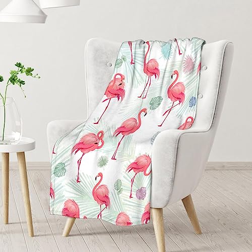 Flamingo Blanket Gifts - 60x80 Inches Cute Throw for Women & Girls - Pink Soft Fuzzy Blankets for Bed, Couch & Living Room