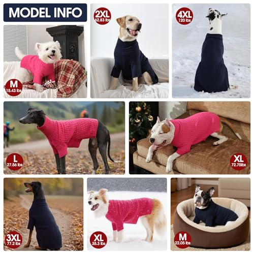 Pull thermique pour beagle extensible et respirant col roulé - 4
