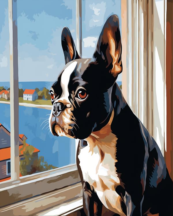 Kit Dipingere Con I Numeri Per Adulti - Boston Terrier Sul Davanzale, Tela 40x50 Cm, Colori Acrilici, Pennelli