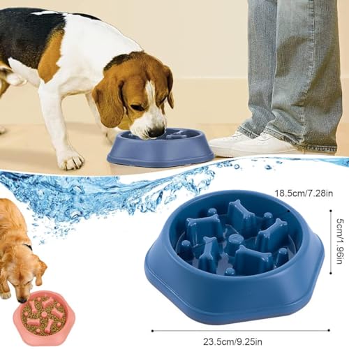 platos-para-perro, Pet Products Imagen adicional