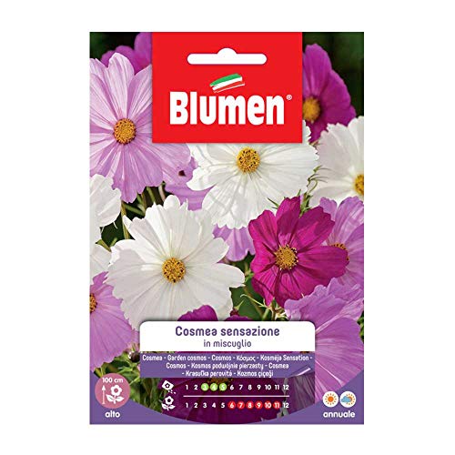 Semi Cosmea Sensazione Mix Blumen Sementi Fiori