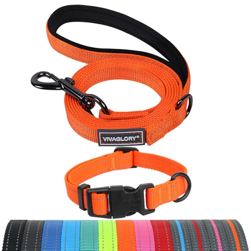 VIVAGLORY Dog Leash Puppy Leash for Collar, 5ft x 1/2in, S, Orange