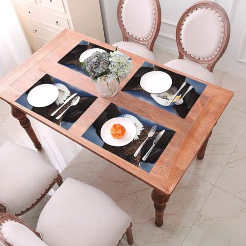 Set de table en vinyle motif aigle lavable 30x45 cm - Lot de 6