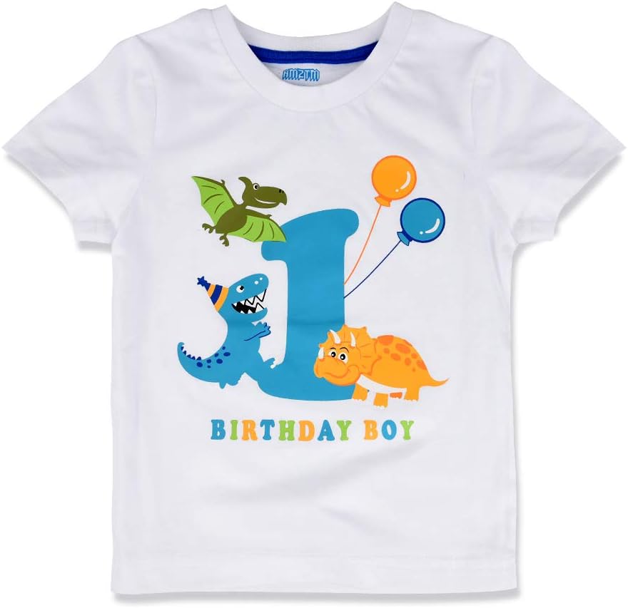 AMZTM1st Boy Dinosaur Birthday Shirt Dinosaur First Birthday Outfits for Toddler Baby