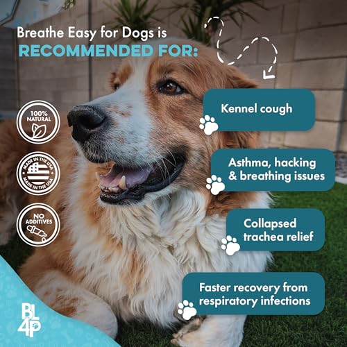 Kennel Cough Treatment & Dog Nasal Congestion Relief, Natural Dog Cough Suppressant & Cold Remedy, Breathe Easy Reduces Wheezing, Sneezing, Cold, Breathing and Respiratory Issues, 400 Small Pills - Thumbnail 5