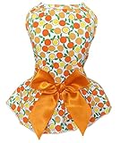 Petroom Pet Dogs Dresses for Small Dogs Puppy Clothes Cat Outfit Apparel Female for Yorkie(Lemon L)