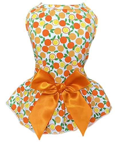 Petroom Pet Dogs Dresses For Small Dogs Puppy Clothes Cat Outfit Apparel Female For Yorkie(Lemon L) #TOP9