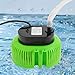 Kaichenyt Schmutzwasser-Tauchpumpe, Poolabdeckpumpen 75W 3000L/H mit Drei Auslässe Maximalen Förderhöhe von 10,5 Fuß IPX8-Wasserdichtigkeit für Brunnen Grün, Schwarz