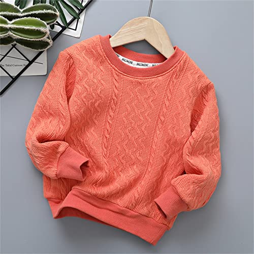 Toddler Children Kids Baby Boys Girls Solid Round Collar Knitted Thick Sweater Pullover Blouse Tops (D, 3-4 Years)3
