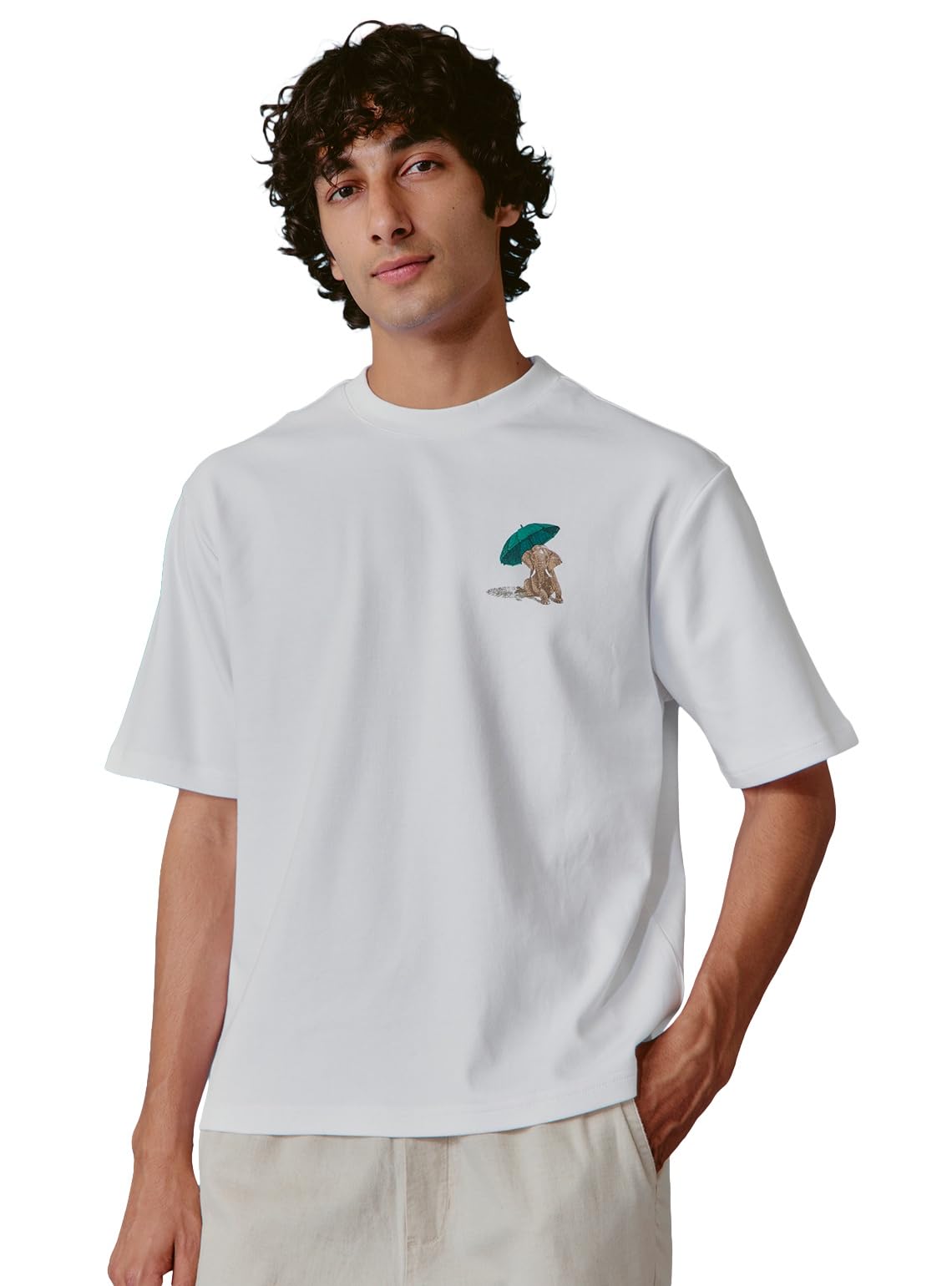 andamen Men Cotton Printed Relaxed Fit Crew-picture-28