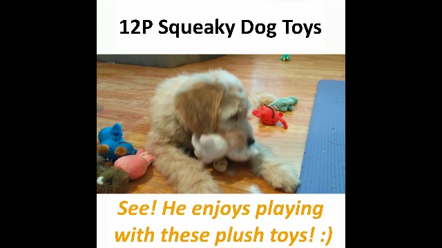 LEGEND SANDY Squeaky Plush Dog Toy Pack for Puppy, Small Stuffed Puppy Chew Toys 12 Dog Toys Bulk with Squeakers, Cute… - Image 7