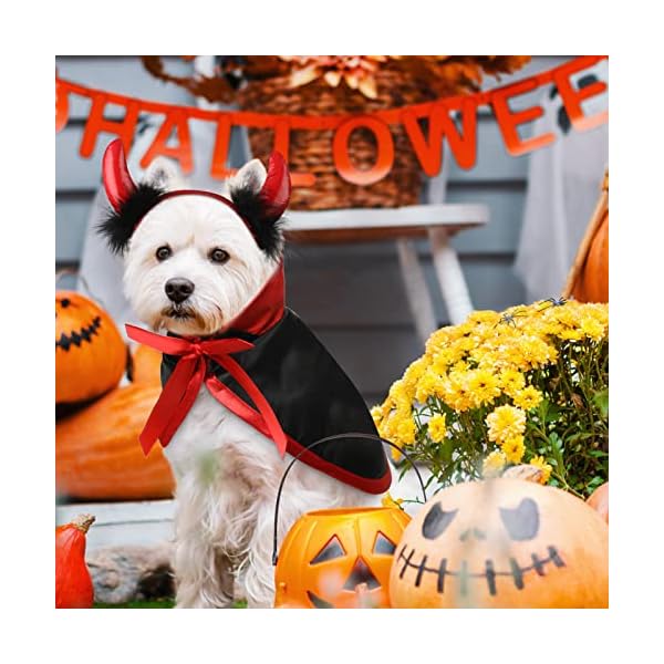 Potchen 5 pcs halloween vampire costume for cat, devil witch hat for cat, pet cat bat wings, cat pumpkin witch pet cape vampire costume for puppy cat cosplay dress up accessories - image 6