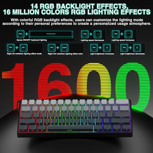 Image of Aula WIN60 HE - 60% Mechanical Gaming Keyboard Wired, Hall Effect Magnetic Switch Hot Swappable,8000 Hz Polling Rate, RGB Keyboard 60 Percent Compact Design for PC (Gradient Gray)