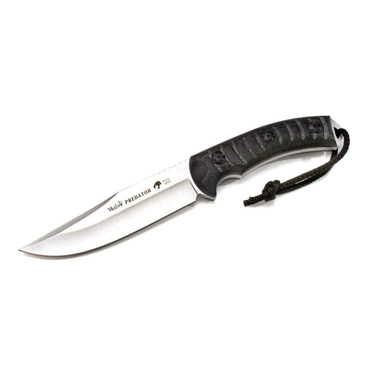 Muela Cuchillo PREDATOR-14W hoja de acero MoVa de 12,5 cm y empuñadura de micarta gris biselada para Caza, Pesca, Supervivencia y Bushcraft Realizado en Ciudad Real + Portabotellas de regalo