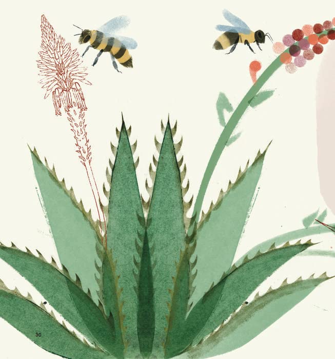 Viriditas: Mujeres que nos descubrieron el maravilloso mundo de las plantas: 6 (Deguria)