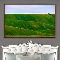 Framed Canvas Wall Art Greenlands Aerial Dark Farmhouse/Country Green Nature Photography Realism Relax/Calm - 16x24 inches