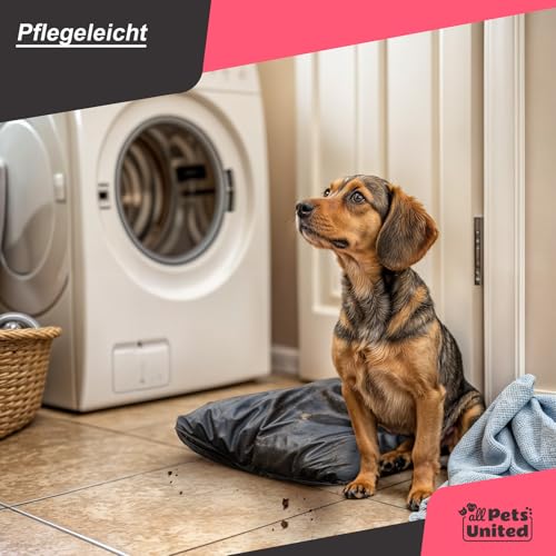 all Pets United® Hundekissen Hundebett Indoor & Outdoor; Hunde-Kissen Hunde-Körbchen; Schlafplatz für Hund & Katzen (M - 75x52 cm)