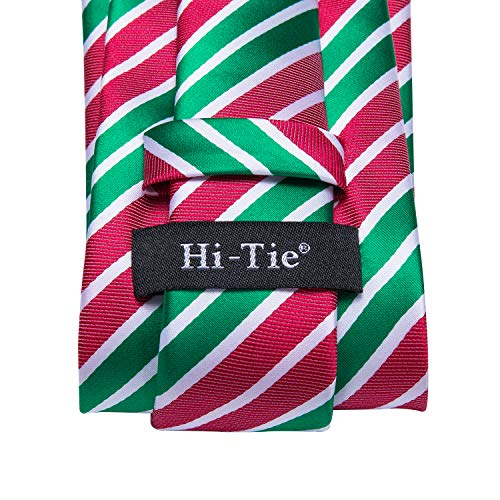 Image of Hi-Tie Mens Paisley Floral Striped Ties Set Silk Necktie and Lapel Pin for Men Pocket Square Cufflinks Set Business Wedding