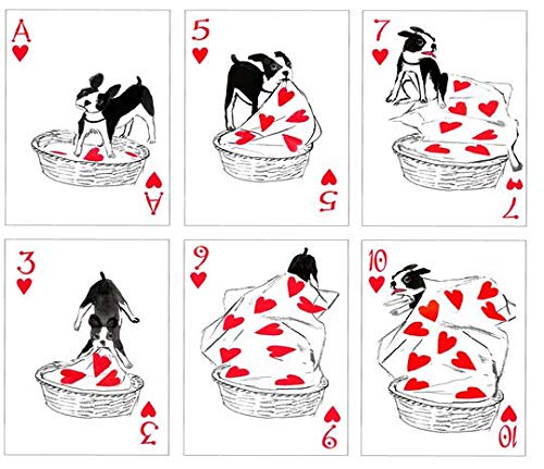 Artiphany Spielkarten für Hunde, Pokergröße, USPCC, Custom Limited Edition