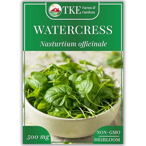 TKE Farms & Gardens - Watercress Seeds for Planting 1500+ Non-GMO Heirloom Seeds Grow a Nutrient-Rich Superfood Easy for Indoor & Outdoor Gardens Includes Planting Instructions Qty 1