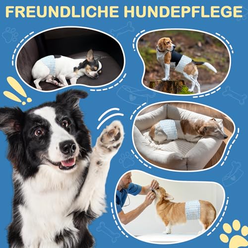 FuzzFables Hundewindeln für Rüden, 20 Stück, Einwegwindeln für Rüden mit Feuchtigkeitsanzeige, breitere Bauchbänder für Welpen, saugfähig und auslaufsicher, Schutz Harninkontinenz S