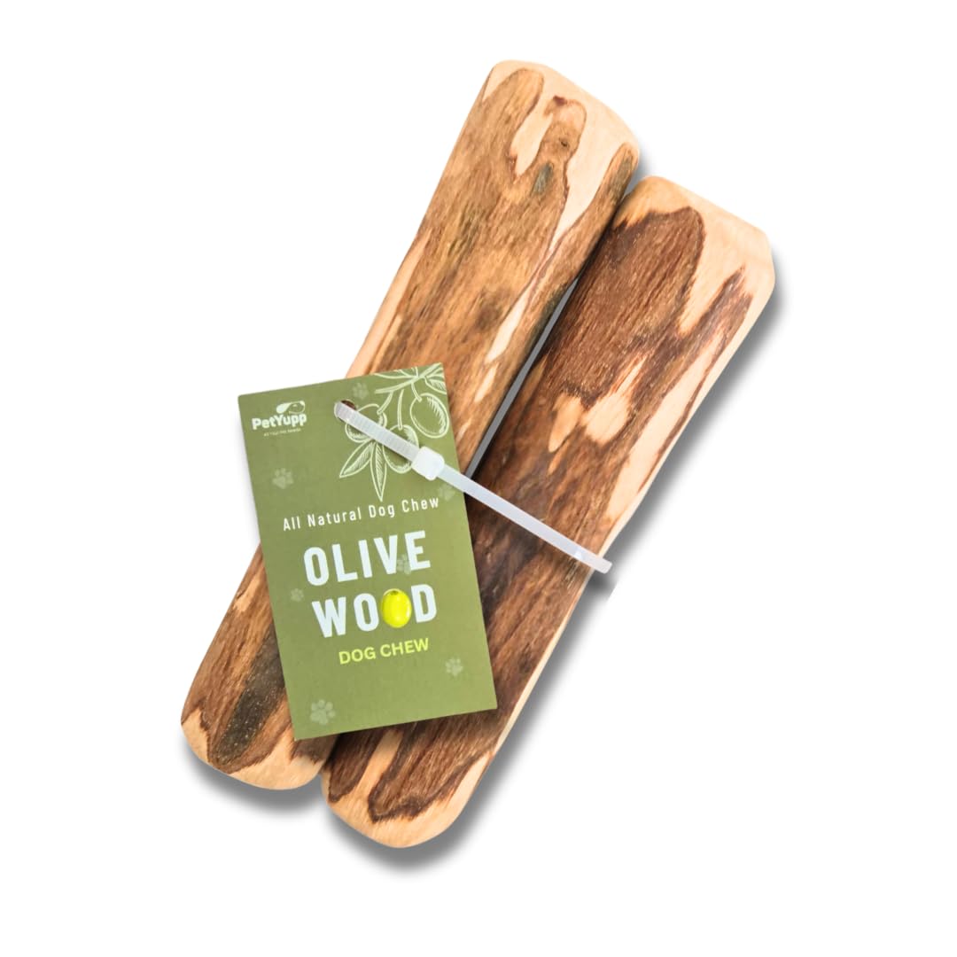 PetYupp Natural Olive Wood Dog Chew Medium, 2 Count - Promotes Dental Health, Reduces Tartar & Chewing Exercise for Small & Medium-Sized Breed Dogs -