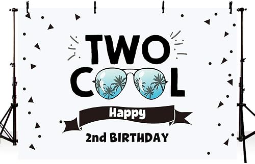 Miniatura 3 de MEHOFOND Fondo con temática de dos lentes de sol geniales para decoración de fiesta de segundo cumpleaños, pancarta de fondo de fotografía para mesa