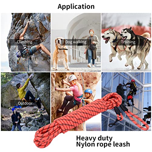 Image of Long Dog Leash for Training 30Ft-Reflective Nylon Rope with Swivel Hook-Recall Agility Lead for Large Small Medium Dogs Outside Walking Hiking-Orange Diam 1 /2 inch