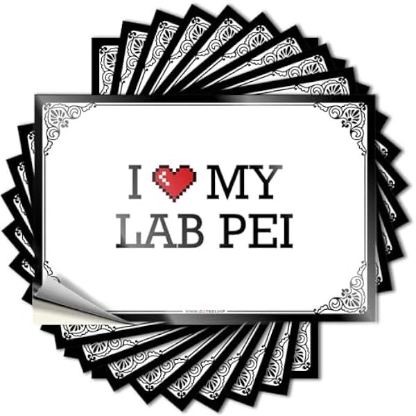 Naklejka dekoracyjna do piwa - estetyczna silikonowa twarda 'I Love My Lab Pei' (6 x 9 cm)