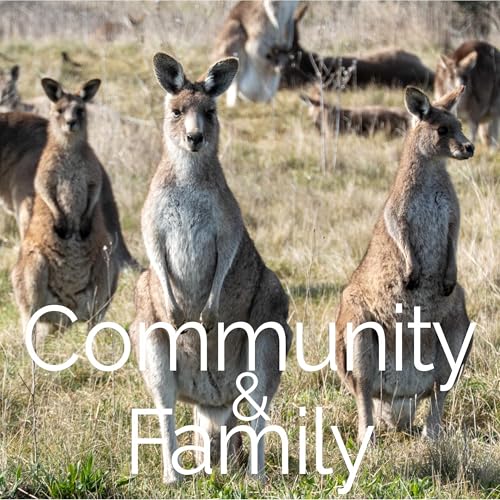 Community & Family
