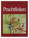 prachtfinkenarten  Prachtfinken.